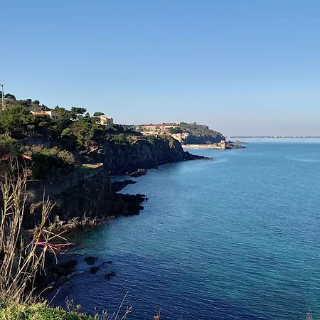 4sap7 Avec Belle Terrasse * 콜리우르